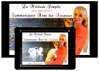 La méthode simple pour apprendre à communiquer avec les animaux