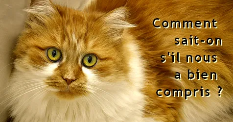 Comment on sait qu'un animal nous a compris