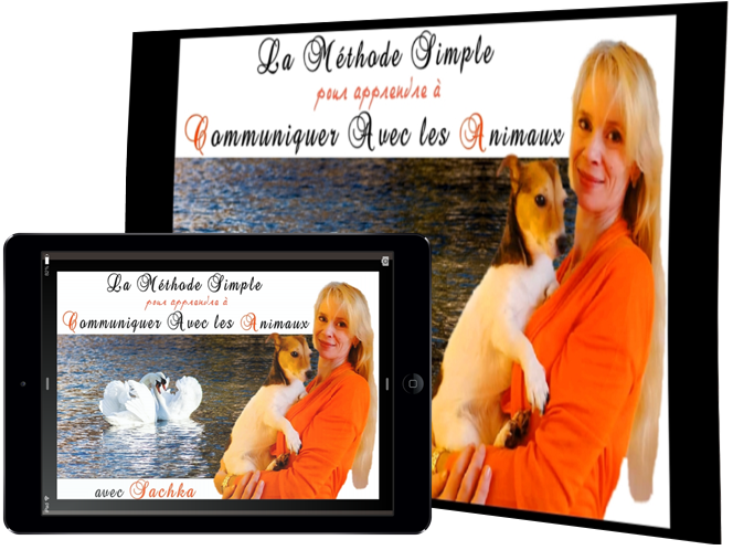 apprendre à communiquer avec un animal