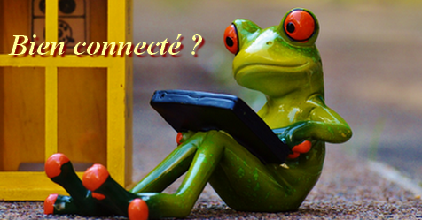 Comment savoir si on est bien connecté à l'animal ?