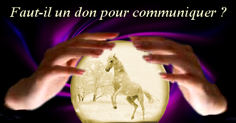 Faut-il un don de médium pour communiquer avec les animaux ?