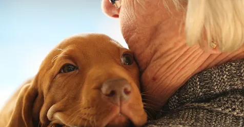 Faire soi-même une communication avec son animal.
