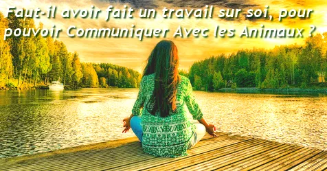 Faut-il avoir fait un travail sur soi pour réussir à communiquer avec les animaux ?