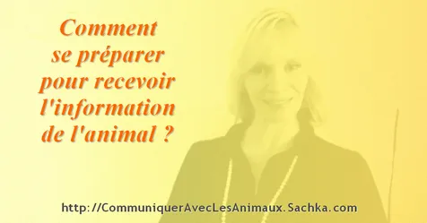 Comment se préparer pour recevoir l'information de l'animal ?